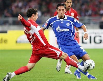 国在南极的 国在南极的